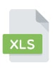 XLS File